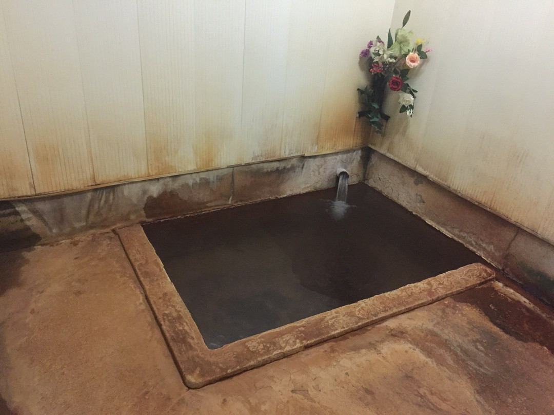 Tamanashi Onsen Public Bath景点图片
