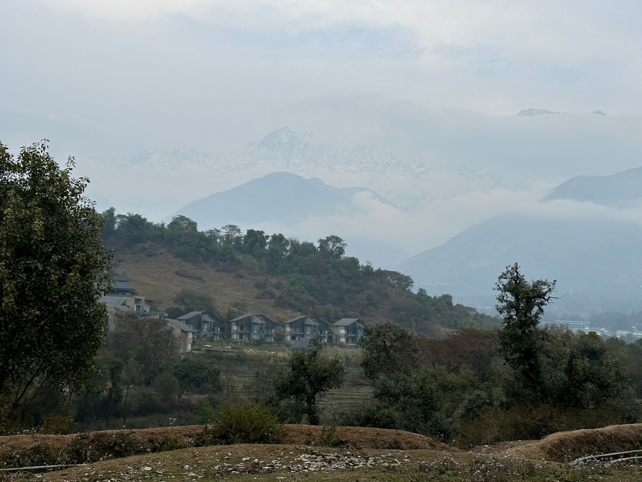 Norbu The Montanna - IHCL SeleQtions-官方