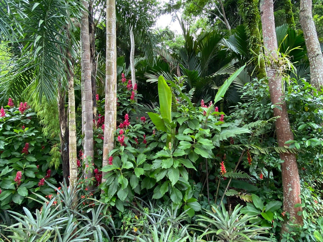 Museu de Biologia Prof. Mello Leitão景点图片