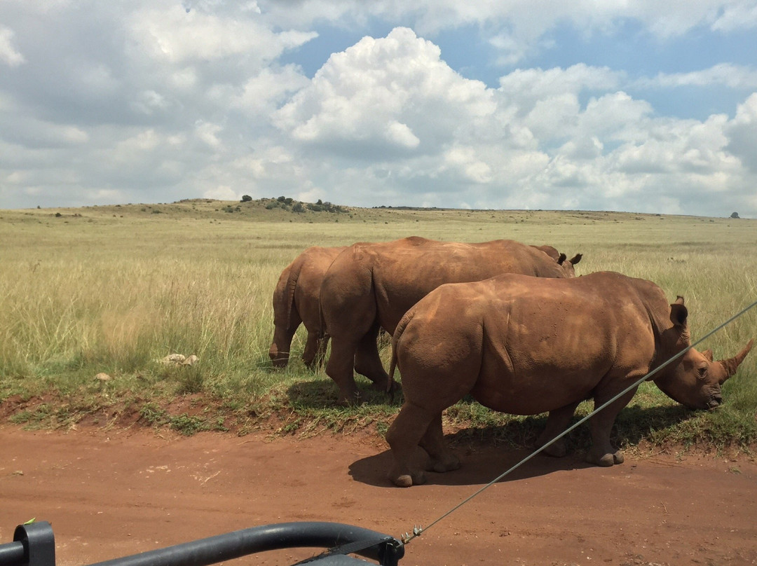 Pongoa Travel-南非西北必去景点