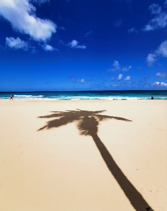 Playa Grande景点图片