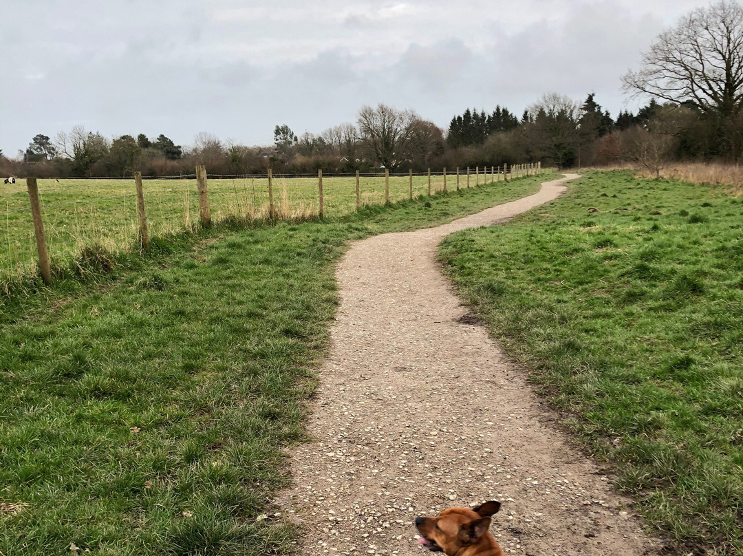 Chesworth Farm景点图片