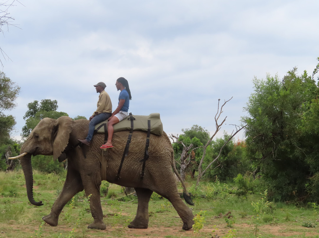 Adventures with Elephants-贝拉贝拉必去景点