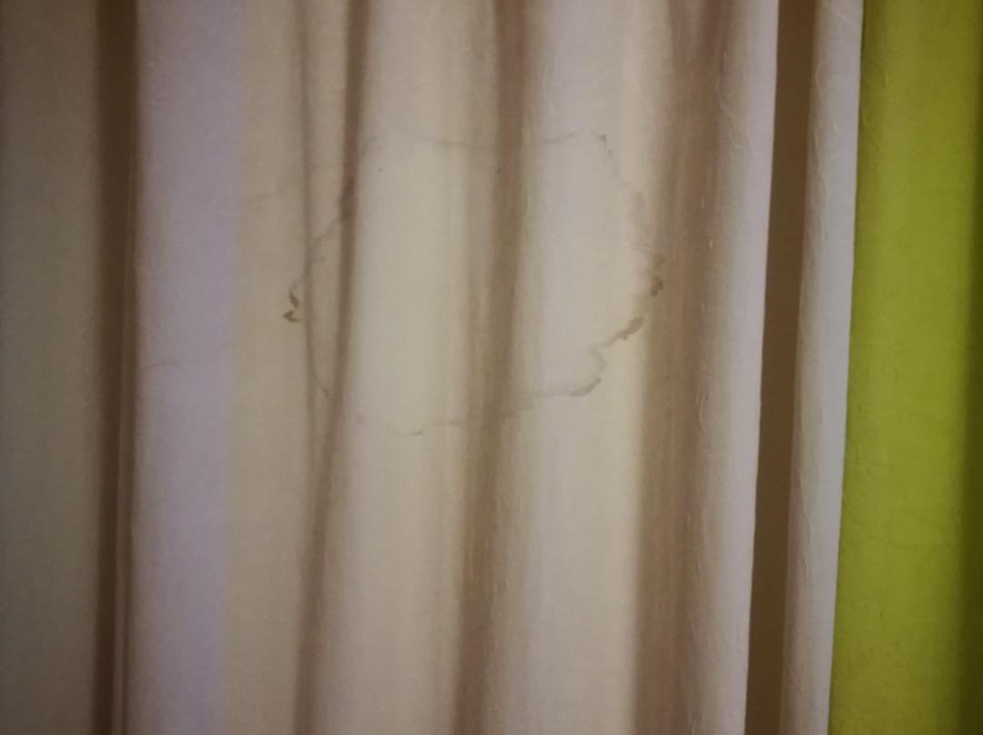 Mango de Costa Azul主图