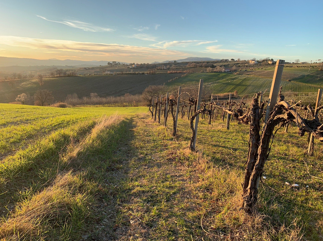 B&B Casa Laura主图