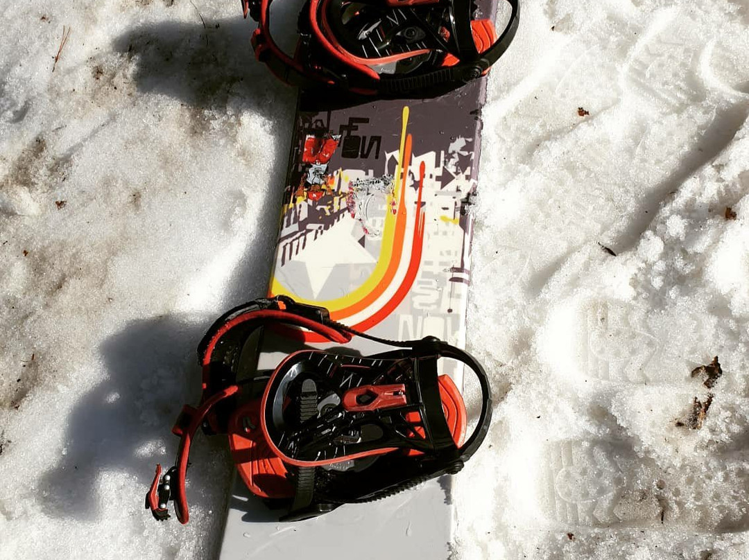 阳智松林滑雪场主图