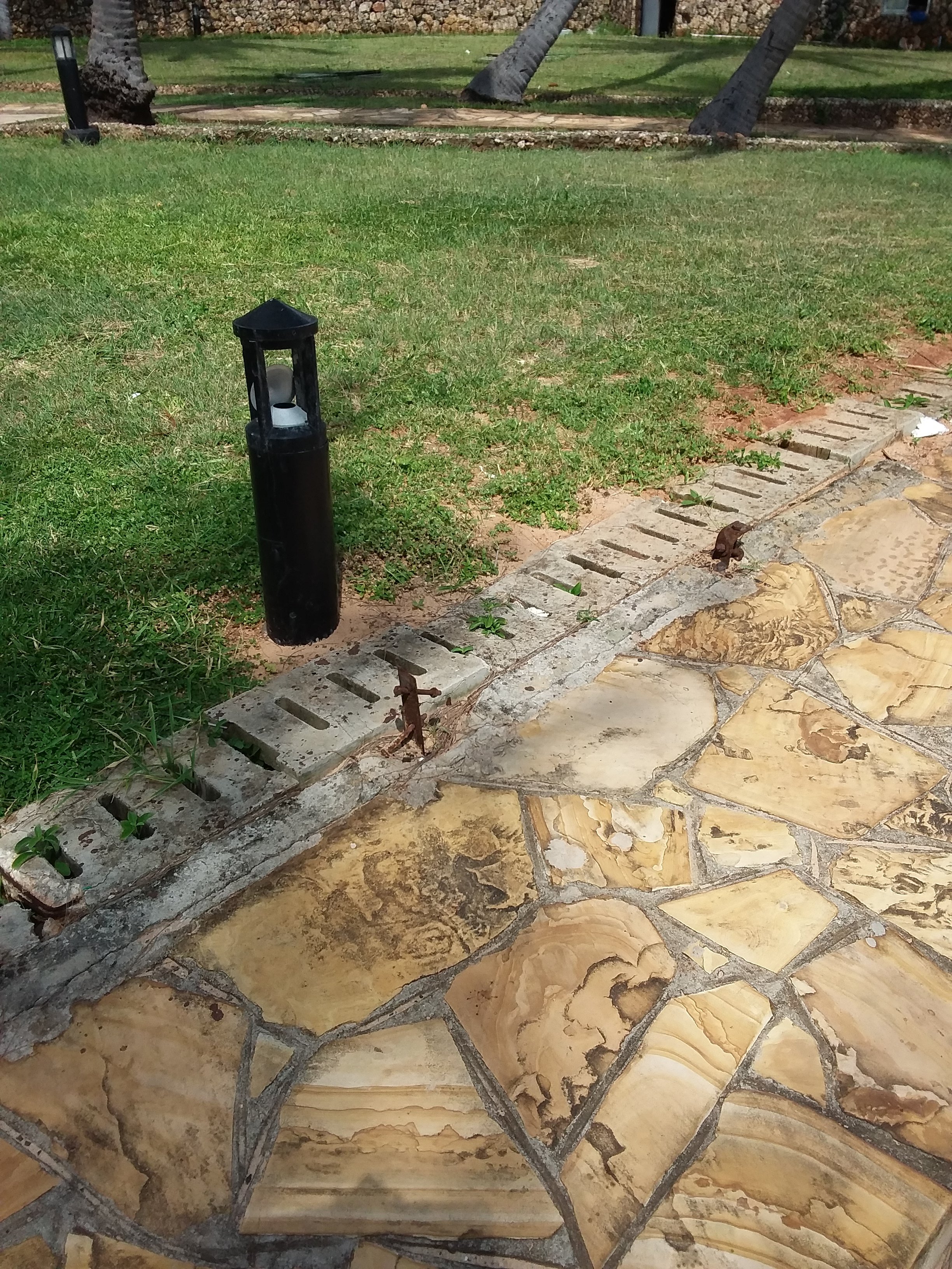 Ledger Plaza Bahari Beach Hotel-portrait