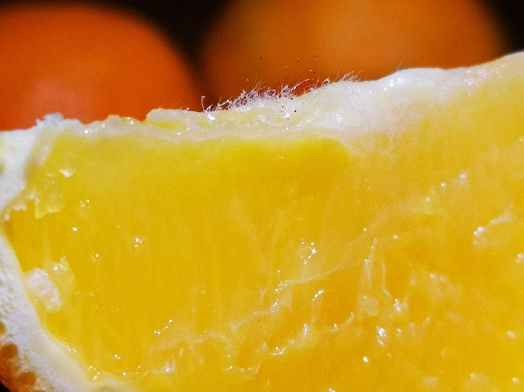 Best Baltic Hotel Palanga主图