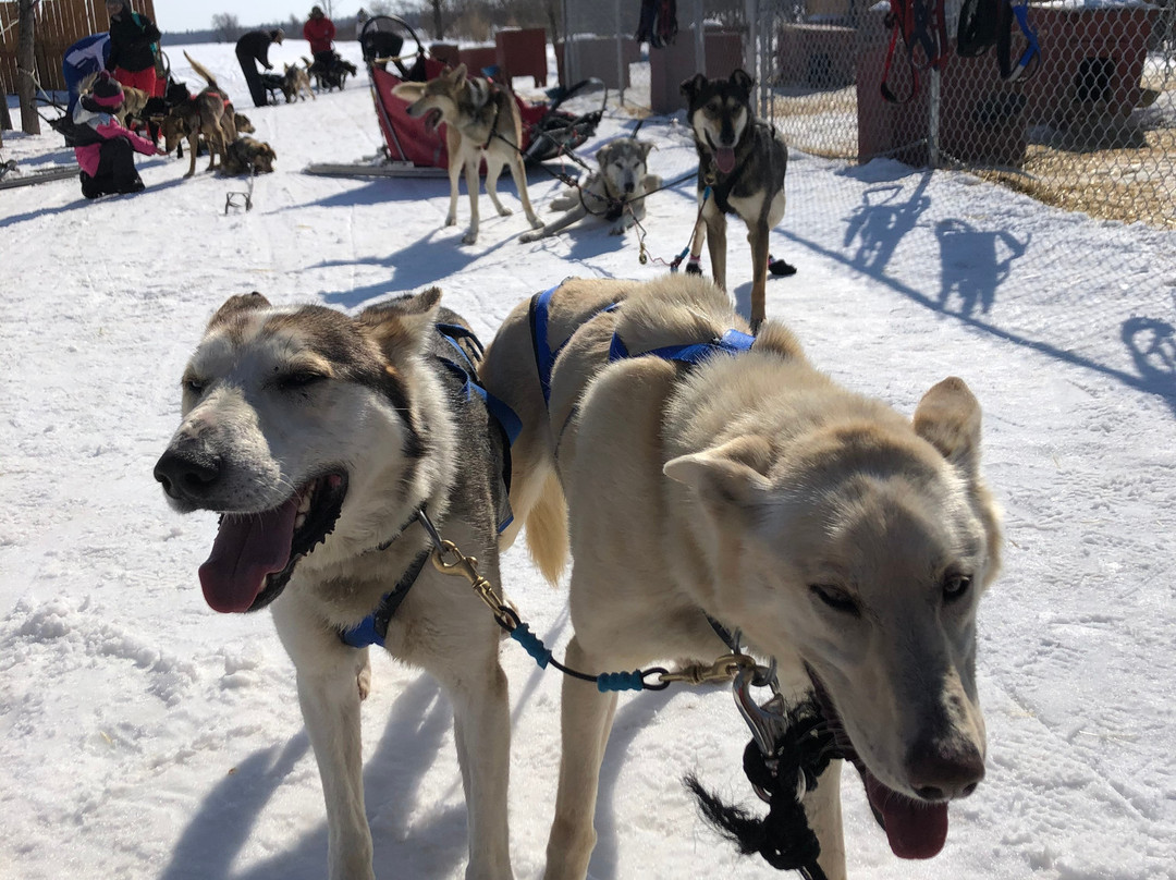Les Aventures Liguoriennes-Saint-Liguori必去景点