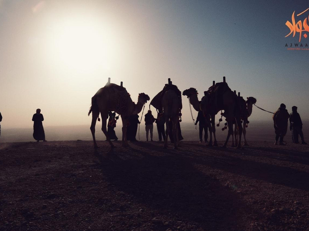 Ajwaad Group-利雅德必去景点