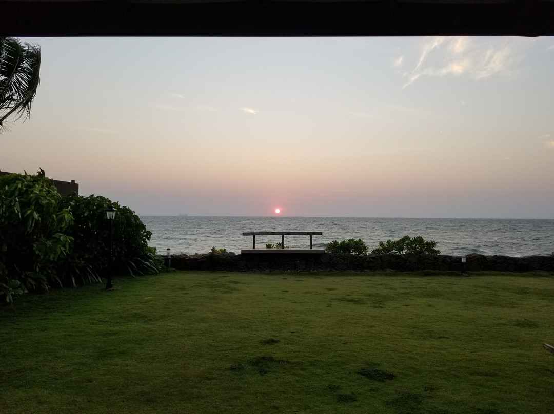 The Beach Boutique主图