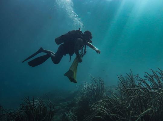 Mundo Submarino-韦拉克鲁斯必去景点