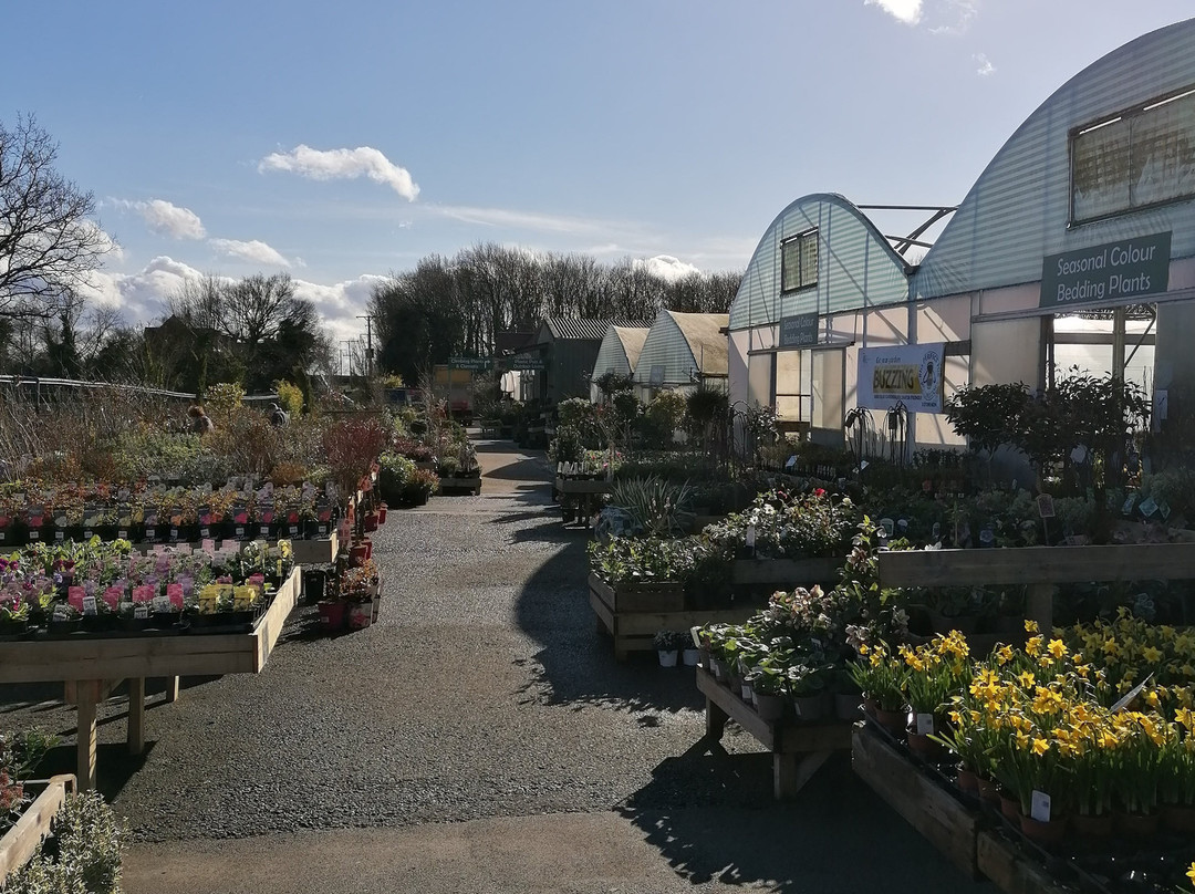 Hollybeck Nurseries景点图片