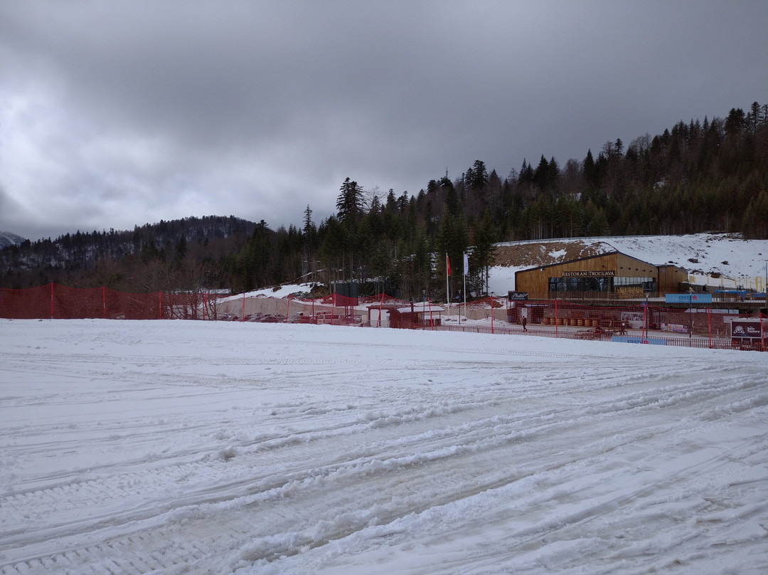 Ski Centar Kolasin 1600景点图片