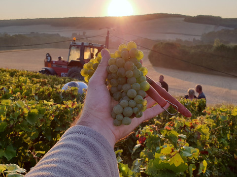 OenoSpheres-兰斯必去景点