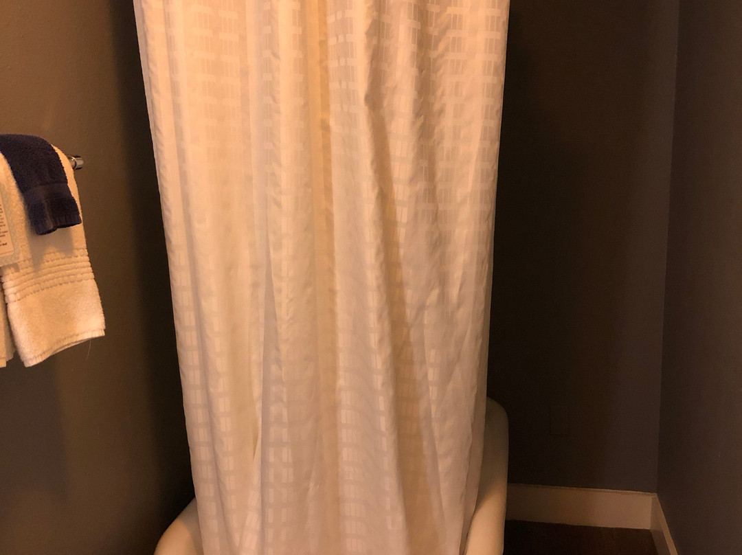 夏洛特酒店主图