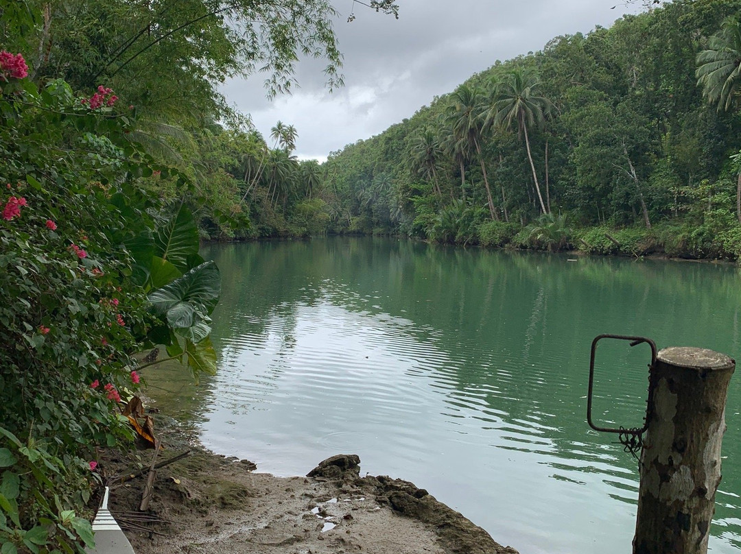 坚果木屋度假村主图