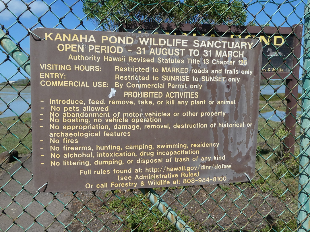 Kanaha Pond State Wildlife Sanctuary景点图片