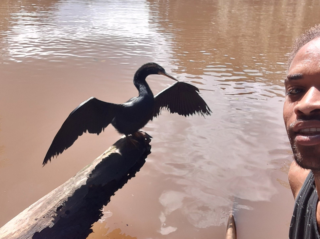 Tortuguero Tours景点图片