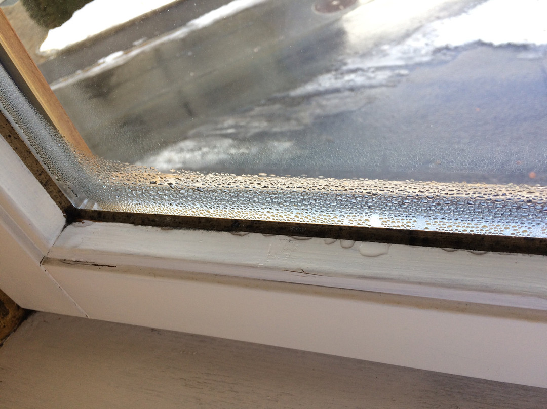 Vitaloase zu den Drei Brudern主图