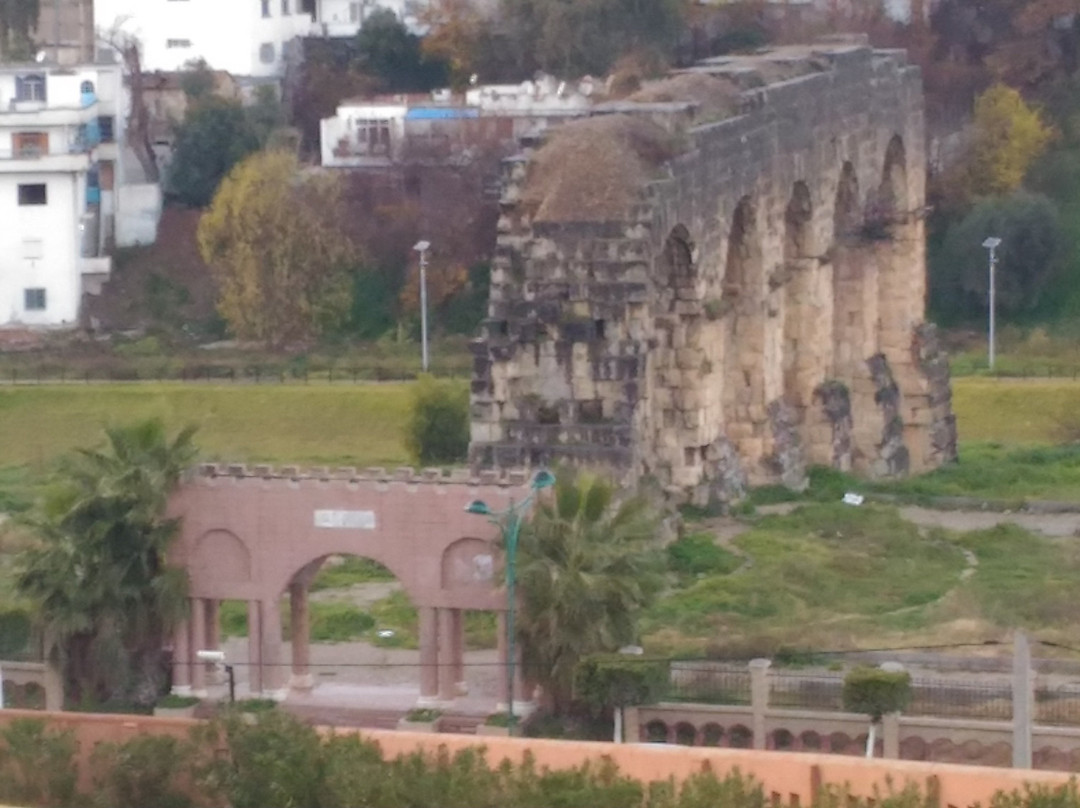 L'aqueduc Romain Constantine景点图片