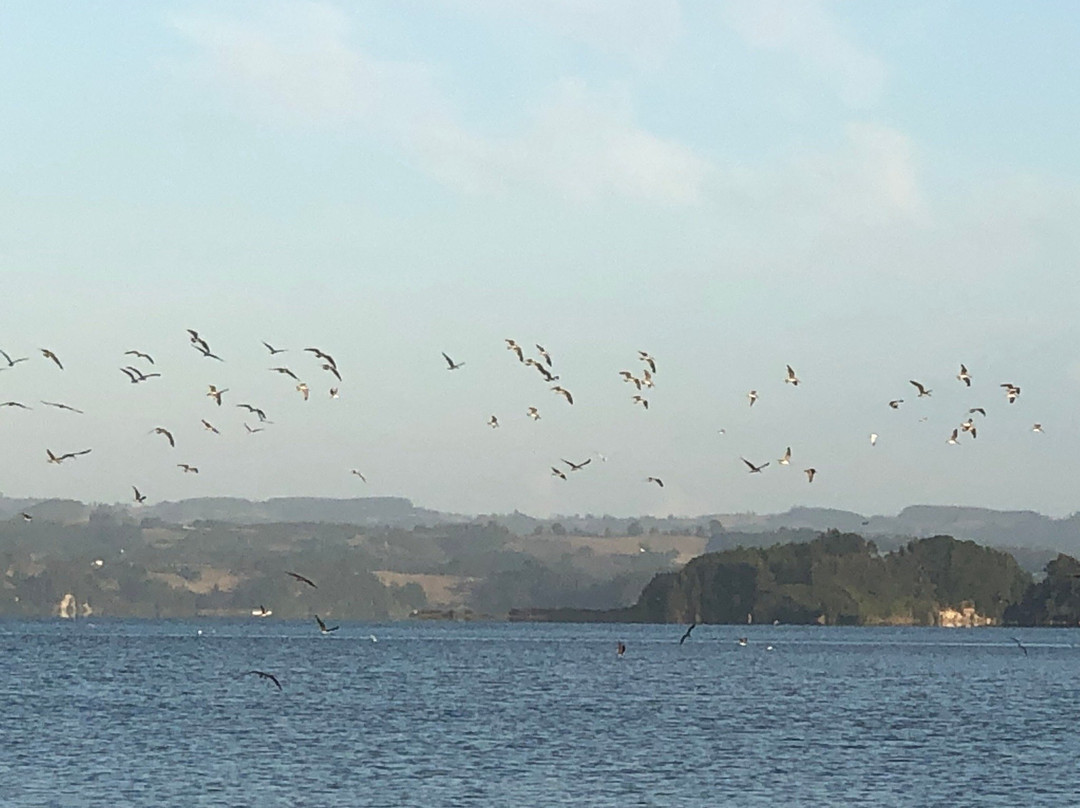 Uñum Kimün-Puerto Saavedra必去景点