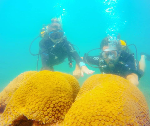 Companhia do Mergulho-莫罗圣保罗必去景点