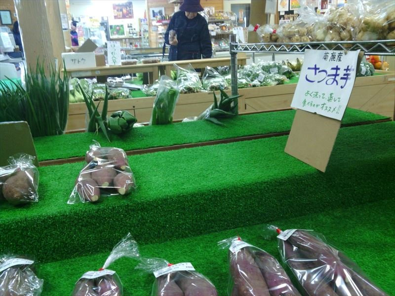 Anzu no Oka-山鹿市必去景点