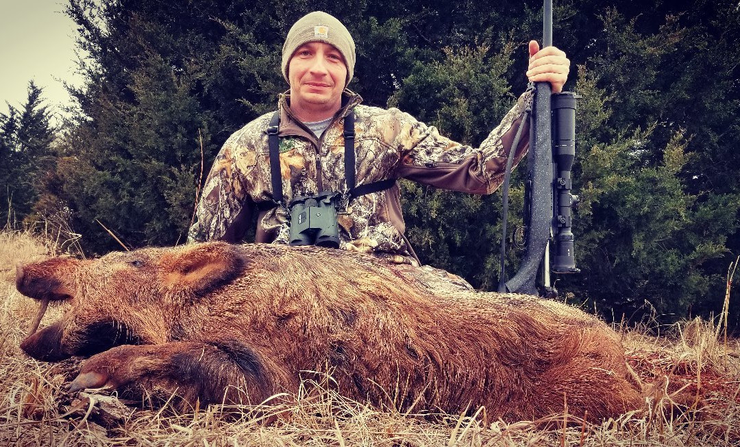 Hog Wild-Purcell必去景点