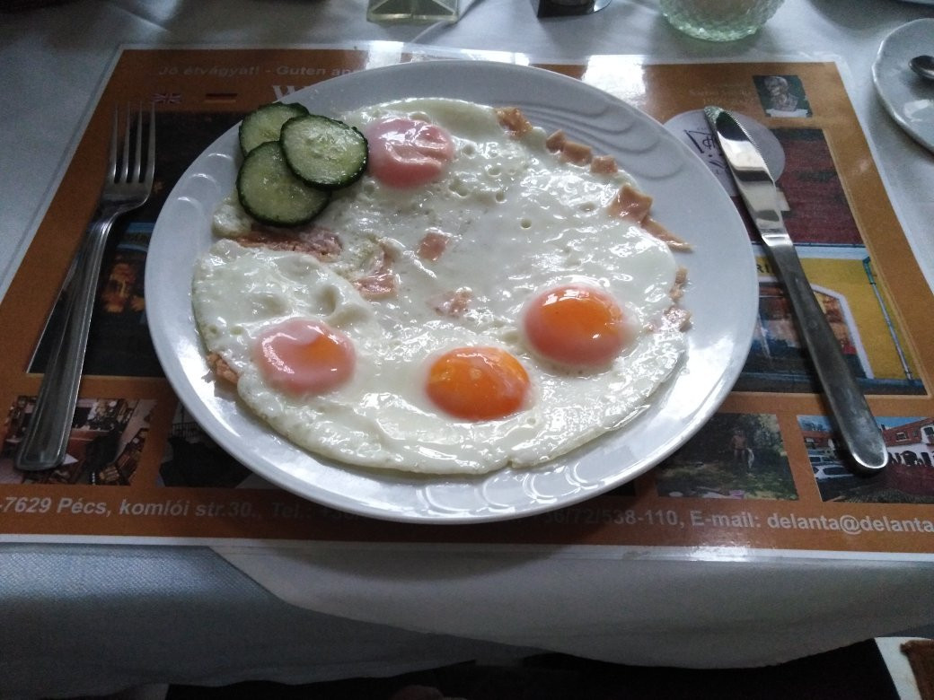 Delanta Panzió主图