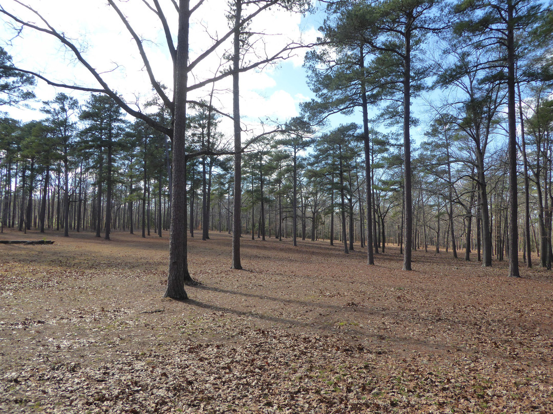 Cold Harbor Battlefield Park-Mechanicsville必去景点