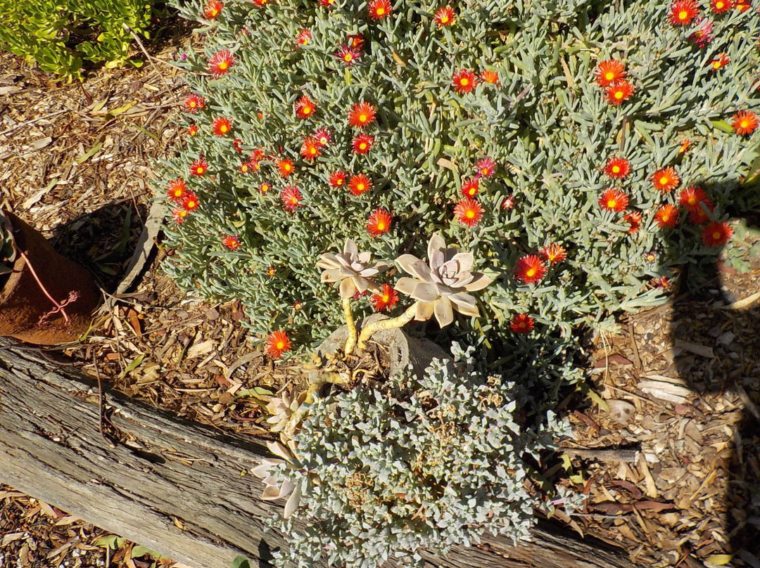 Court House Motel主图