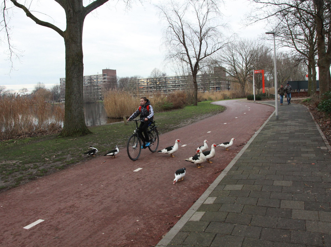 Waddinxveense Hefbrug-Waddinxveen必去景点