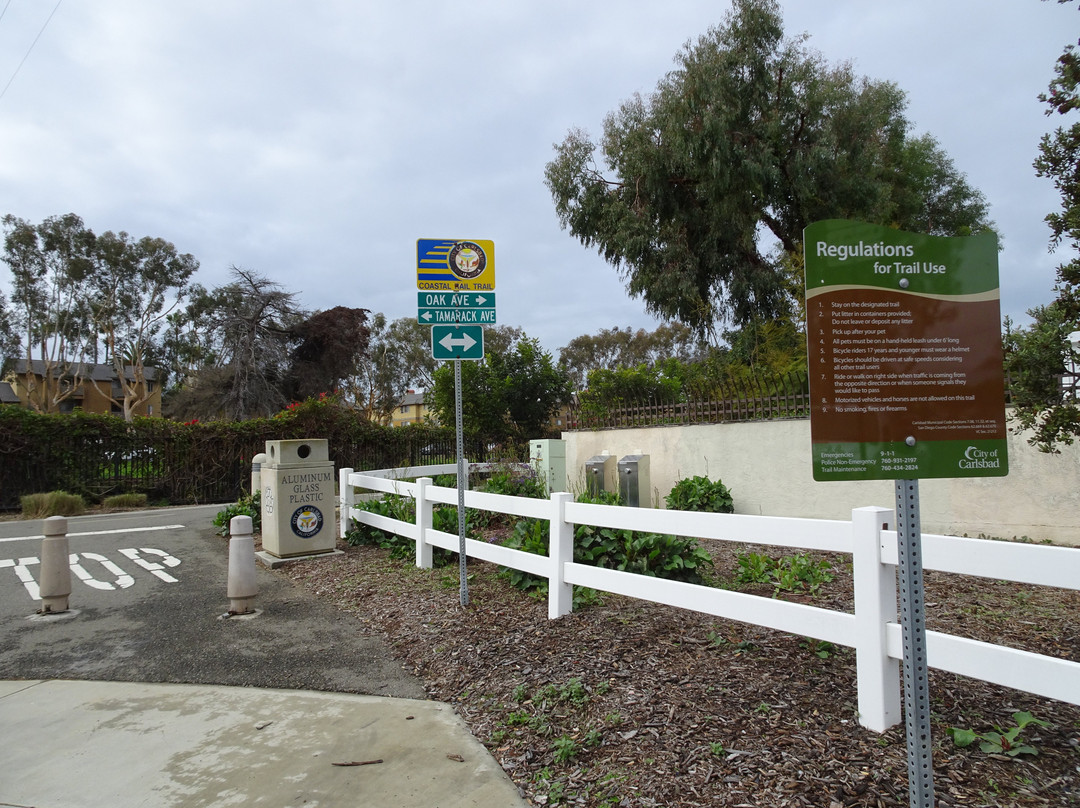 Coastal Rail Trail-欧申赛德必去景点