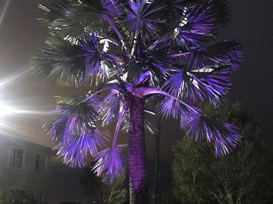 Casa Hotel Linares主图