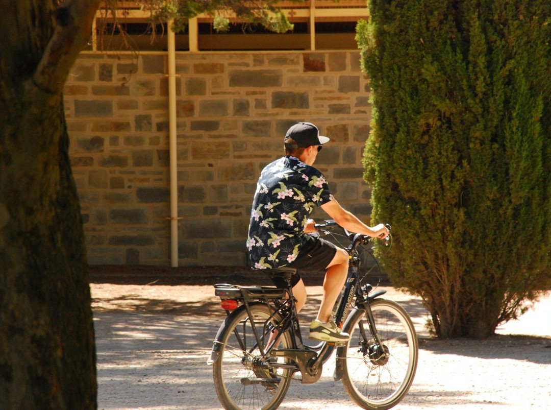 Clare Valley Cycle Hire-克莱尔必去景点