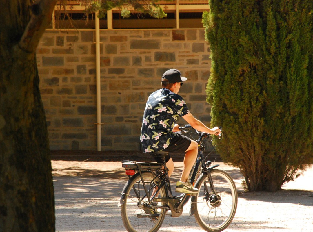 Clare Valley Cycle Hire景点图片