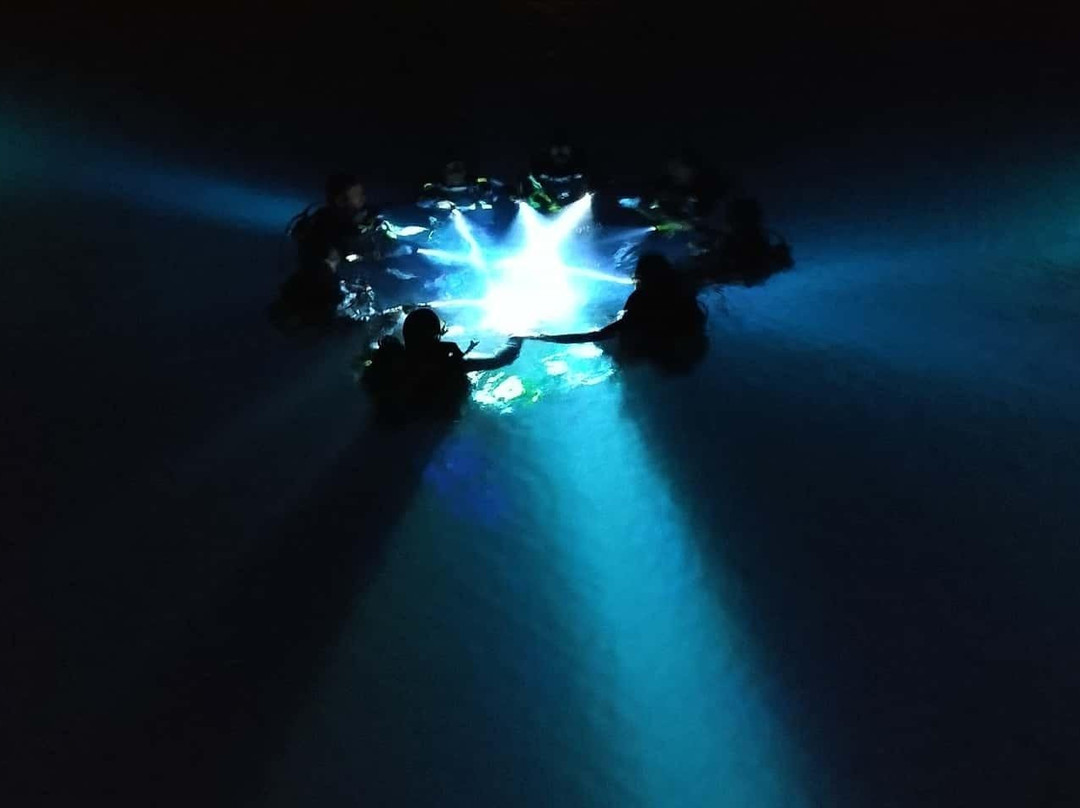 Guru Dive Doğa Sporları ve Eğitim Merkezi-伊斯坦布尔必去景点