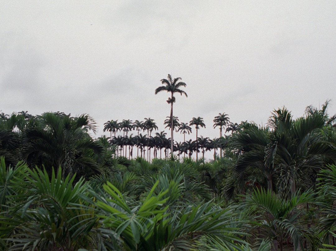 Finca Sampaka-马拉博必去景点