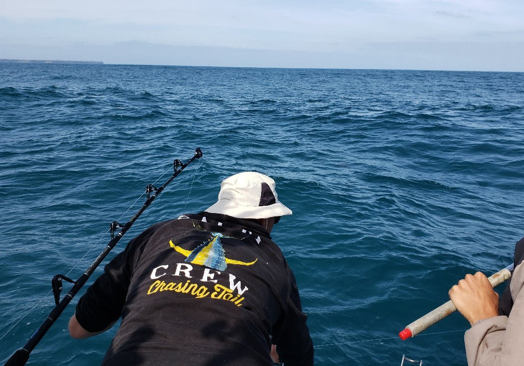 Salty Dog Charters-仙女港必去景点