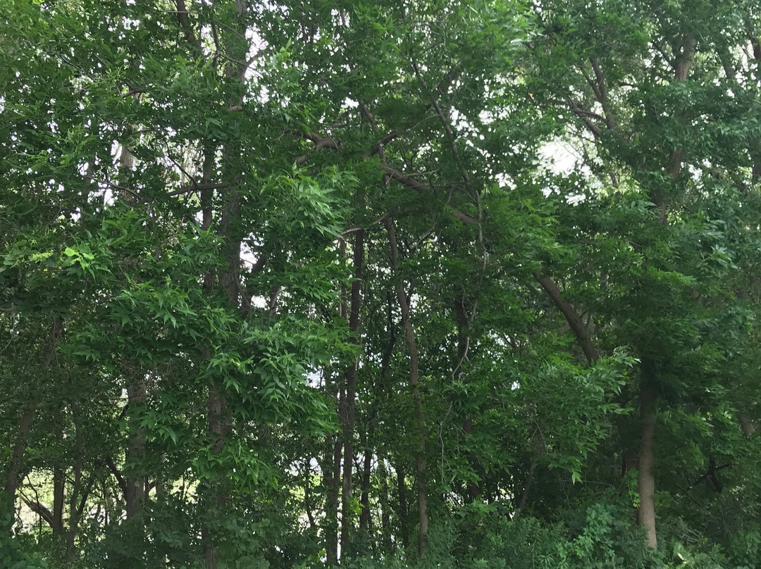 Crosby Farm Regional Park-圣保罗必去景点