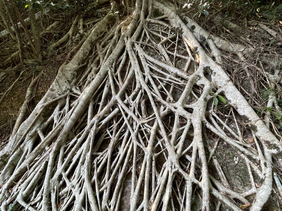 蚺蛇尖-香港必去景点