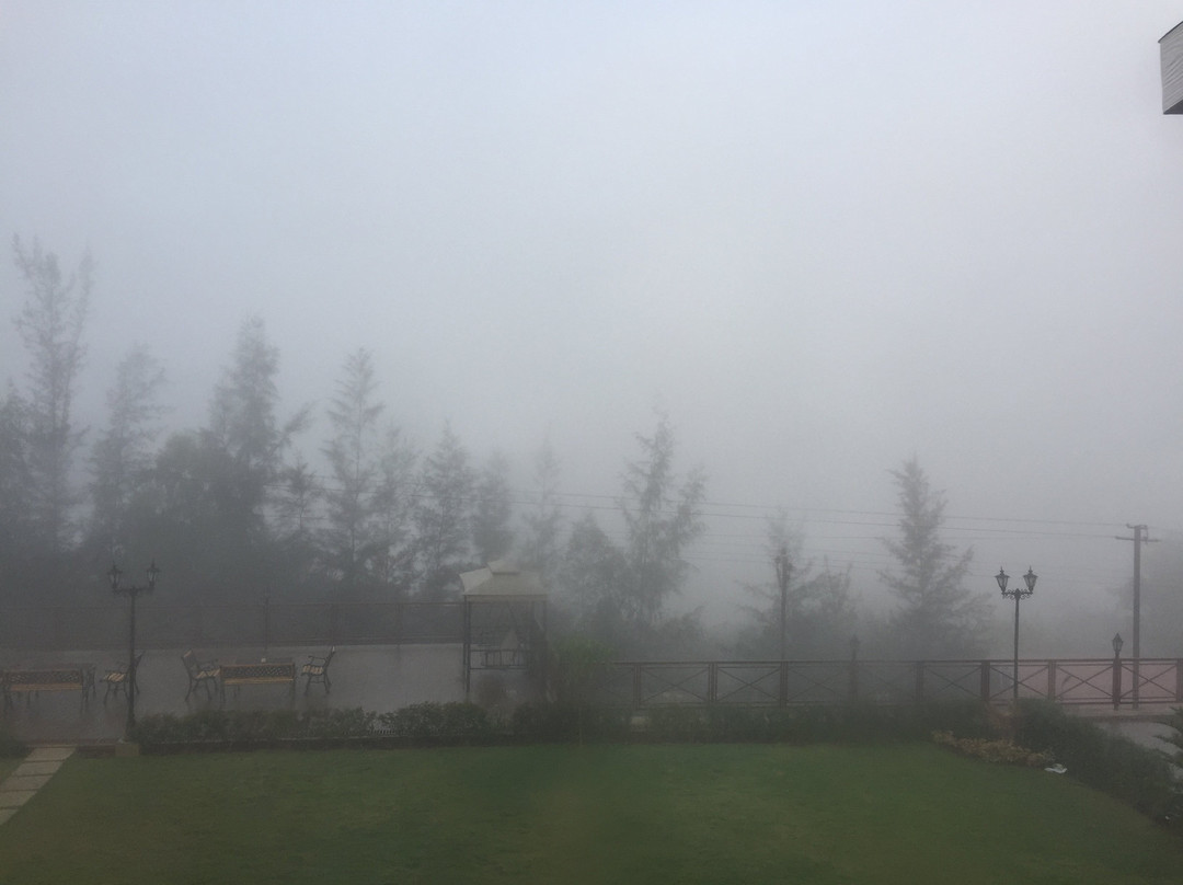 Green Velvet Resort主图