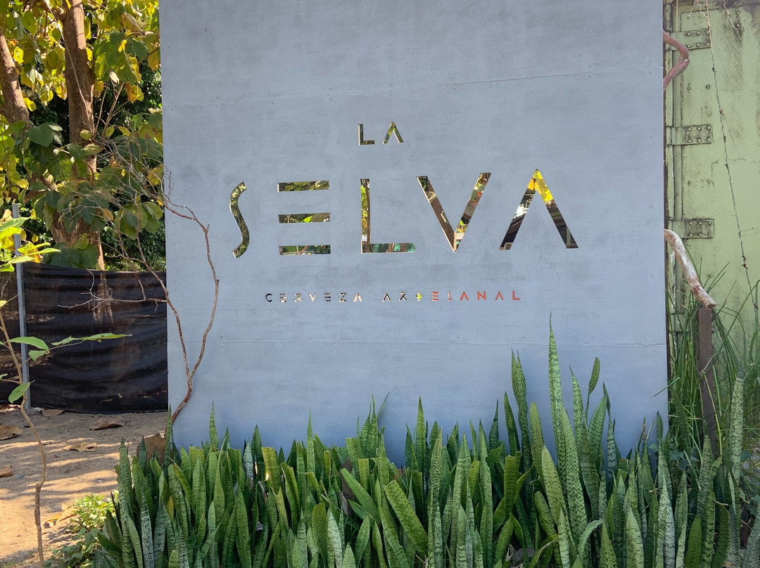 La Selva Cerveza Artesanal景点图片