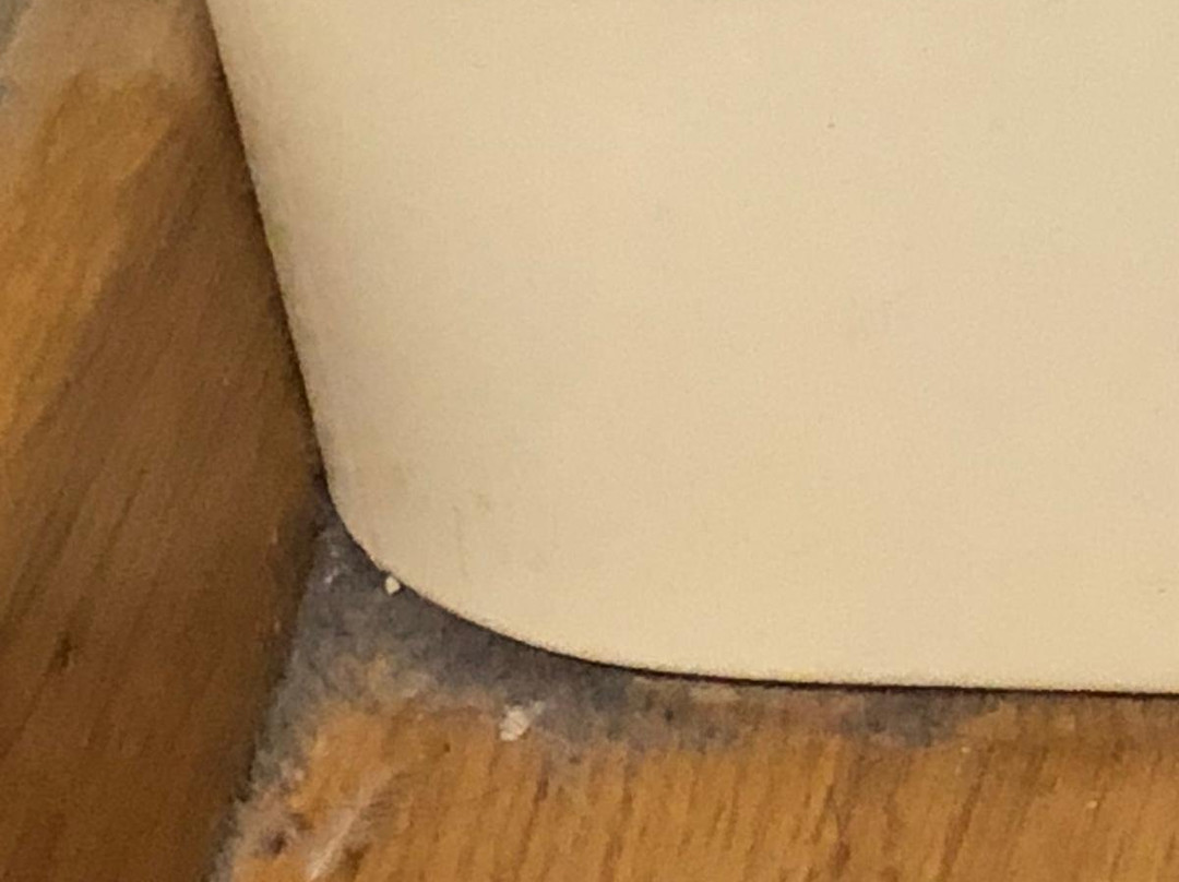 Mons Zlatibor Hotel & Apartments主图