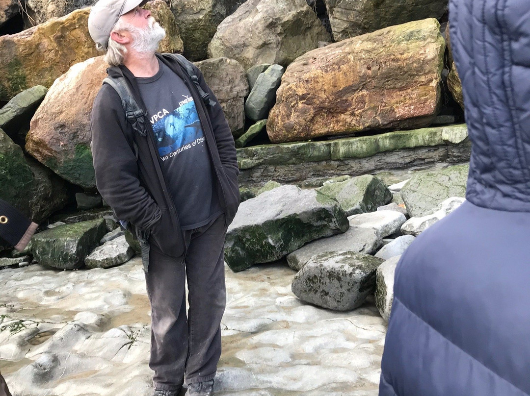 Lyme Regis fossil walks-Charmouth必去景点