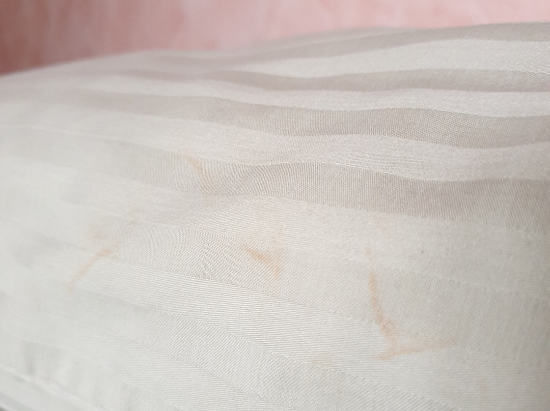 帕克兰德酒店主图