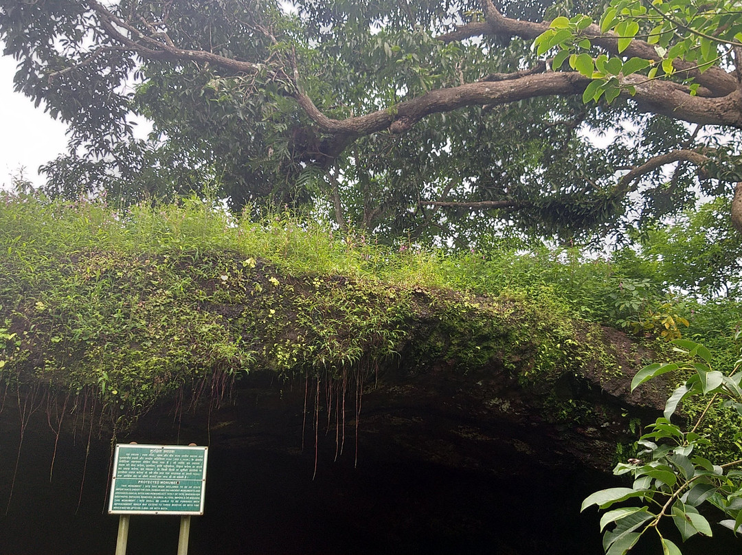 Rivona Buddhist Caves景点图片