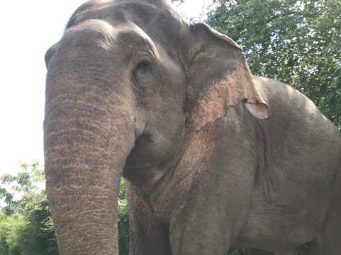 Lanka Grand Tours-蒂瑟默哈拉默必去景点