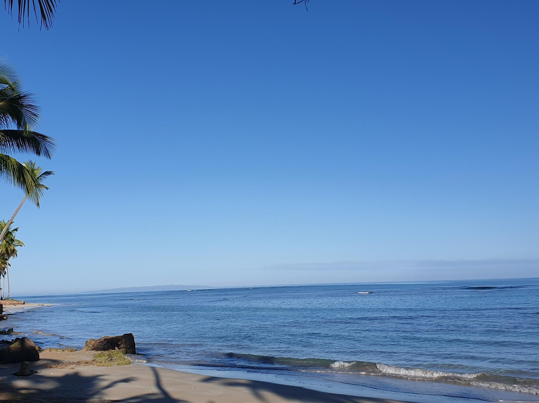 亚特兰蒂斯酒店主图